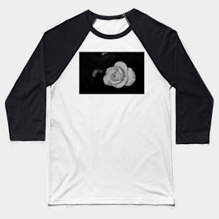 single white rose blossom in black and white Baseball T-Shirt